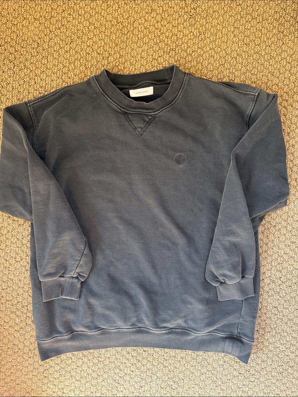 Anine Bing Crewneck Sweatshirt in Washed Black